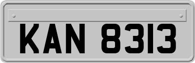 KAN8313