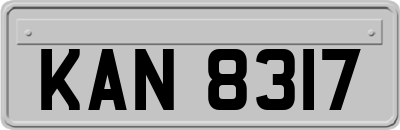 KAN8317