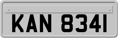 KAN8341