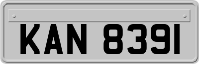 KAN8391