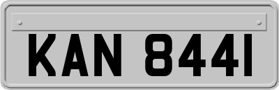 KAN8441