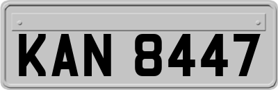 KAN8447