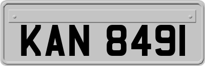 KAN8491