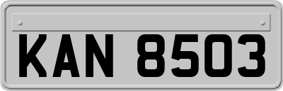 KAN8503