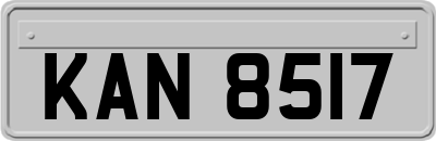 KAN8517