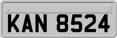 KAN8524