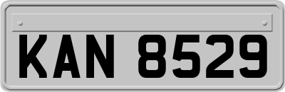 KAN8529