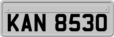 KAN8530