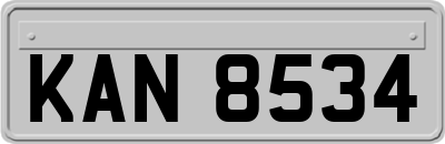 KAN8534