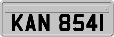 KAN8541