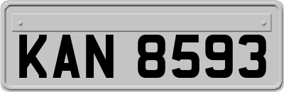 KAN8593
