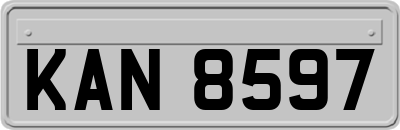 KAN8597