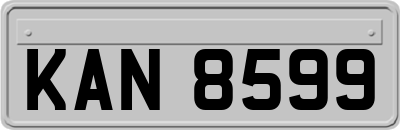 KAN8599