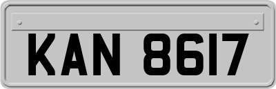 KAN8617