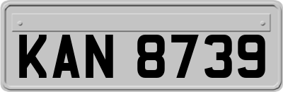 KAN8739