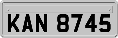 KAN8745