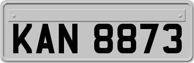 KAN8873