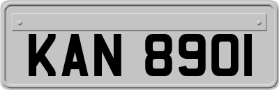 KAN8901