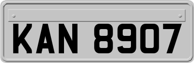 KAN8907