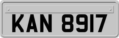 KAN8917