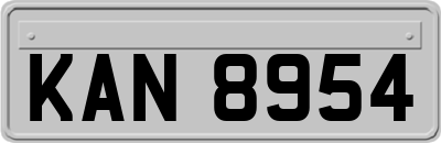 KAN8954