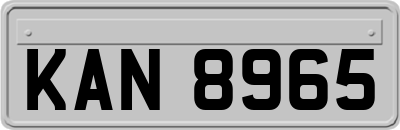 KAN8965