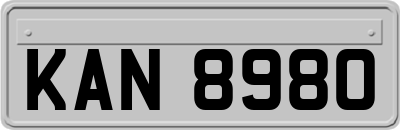 KAN8980