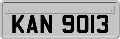 KAN9013