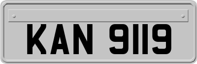KAN9119