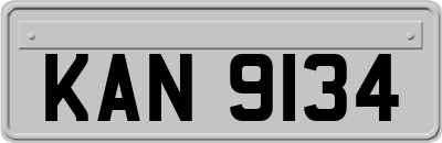 KAN9134