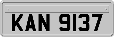 KAN9137