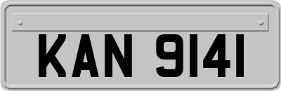 KAN9141