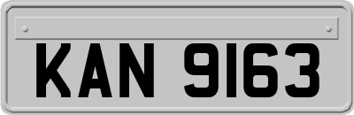 KAN9163