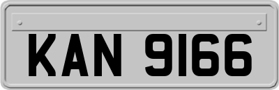 KAN9166
