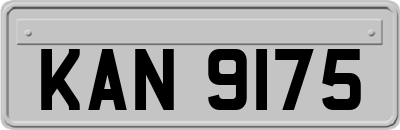 KAN9175