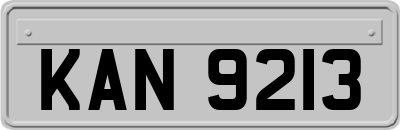 KAN9213