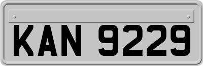 KAN9229