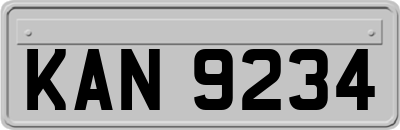 KAN9234