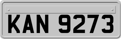 KAN9273
