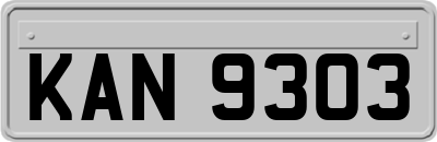 KAN9303