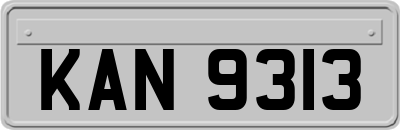 KAN9313