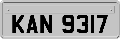 KAN9317