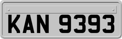 KAN9393