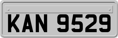 KAN9529