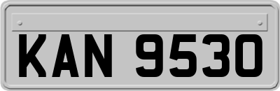 KAN9530