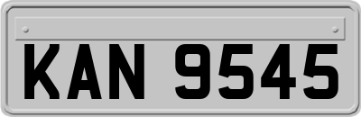 KAN9545