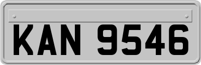 KAN9546