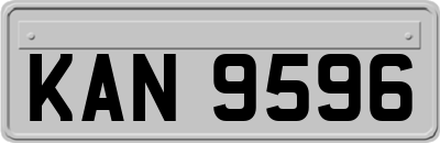 KAN9596