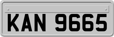 KAN9665