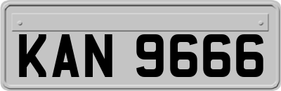 KAN9666